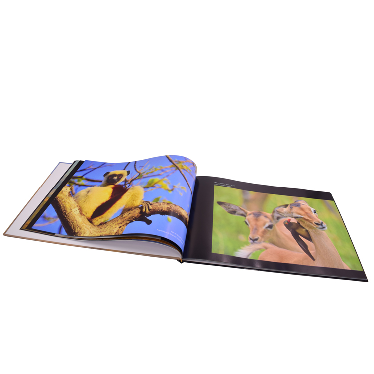 Cheap Hardcover Book Printing book printing services
