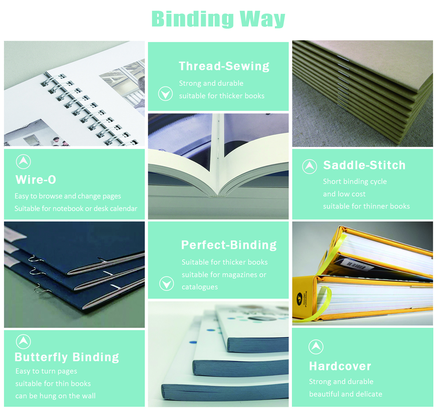 Color Brochure Booklet Printing Book Printing Services